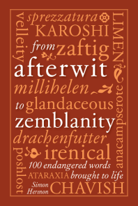 Front cover of From Afterwit to Zemblanity by Simon Hertnon
