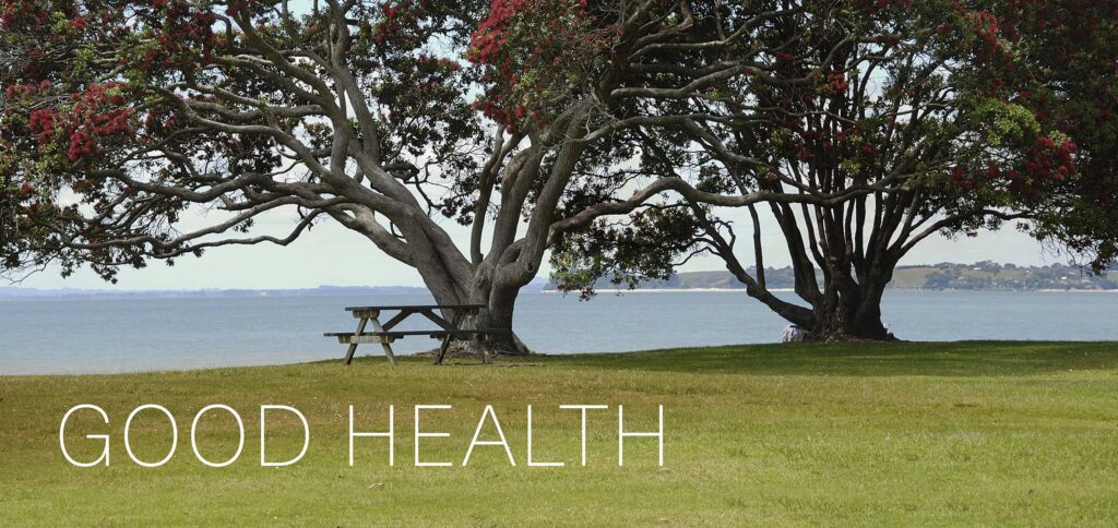 New Zealand coast with pohutukawa trees in the foreground above the words Good Health